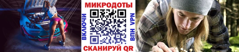 Галлюциногенные грибы MAGIC MUSHROOMS  закладка  Гурьевск 